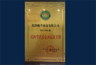2018年度沈陽市民營企業(yè)規(guī)模百強(qiáng)